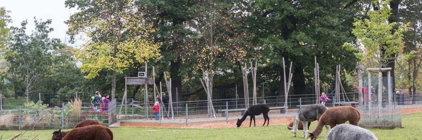 Wilhelma, zoológico y jardín botánico